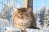 golda39_small.jpg