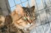 golda4_small.jpg