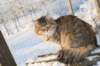 golda79_small.jpg