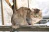 golda82_small.jpg