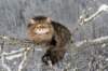 gideon6_small.jpg