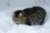 img_2280_small.jpg