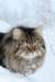 img_2300_small.jpg