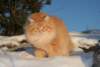 Photo Number 13
