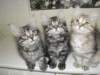 Photo Number 11