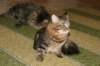 img_4360_small.jpg