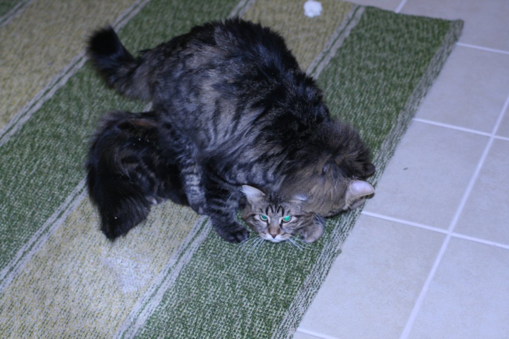 img_4366.jpg