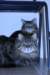 img_4439_small.jpg