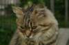 img_5028_small.jpg