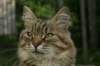 img_5031_small.jpg