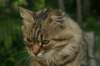 img_5042_small.jpg