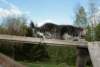 Photo Number 5
