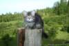 Photo Number 13