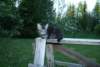 Photo Number 9