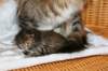 hannaandmelissamamma32_small.jpg