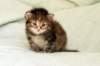 hannagirl8_small.jpg