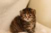 hannagirlf2322_small.jpg
