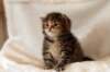 hannagirlf2329_small.jpg