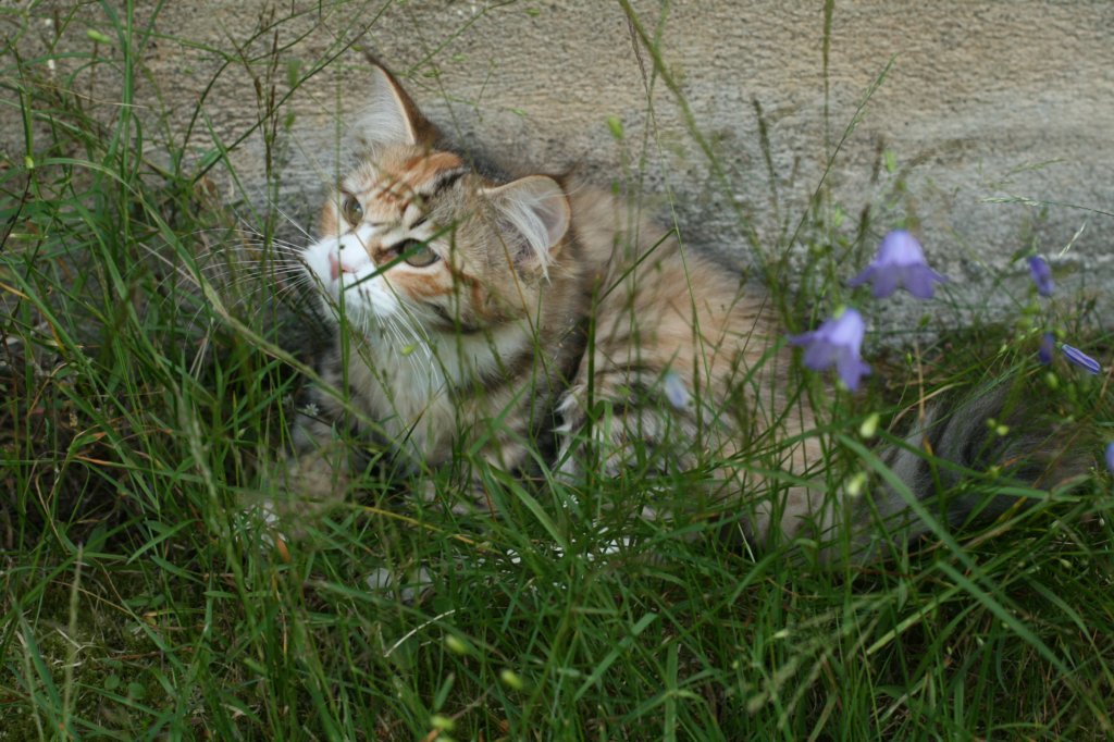 hulda155weeks372013.jpg