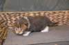 tytt23_small.jpg
