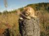 Photo Number 13