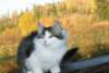 Photo Number 13