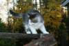 Photo Number 7