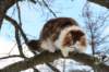 img_3157_small.jpg