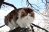 img_3171_small.jpg
