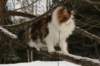 img_3191_small.jpg