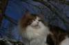 img_3216_small.jpg