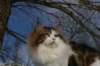 img_3217_small.jpg