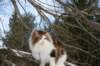 img_3236_small.jpg