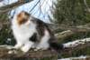 img_3250_small.jpg