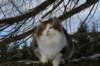 img_3253_small.jpg