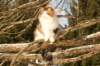 img_3290_small.jpg