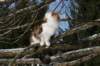 img_3291_small.jpg