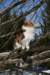 img_3292_small.jpg