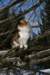 img_3293_small.jpg
