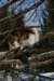 img_3294_small.jpg
