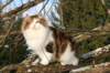 img_3300_small.jpg