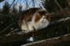 img_3302_small.jpg