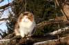 img_3317_small.jpg