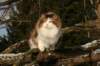 img_3321_small.jpg