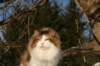 img_3322_small.jpg