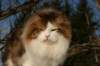 img_3325_small.jpg