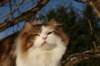 img_3326_small.jpg