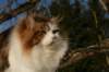 img_3327_small.jpg