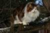 img_3331_small.jpg