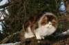 img_3332_small.jpg